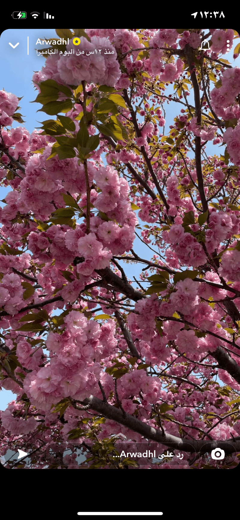 معاذ الغامدي