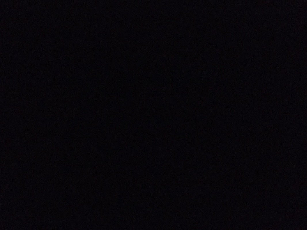 سمر الهلالي