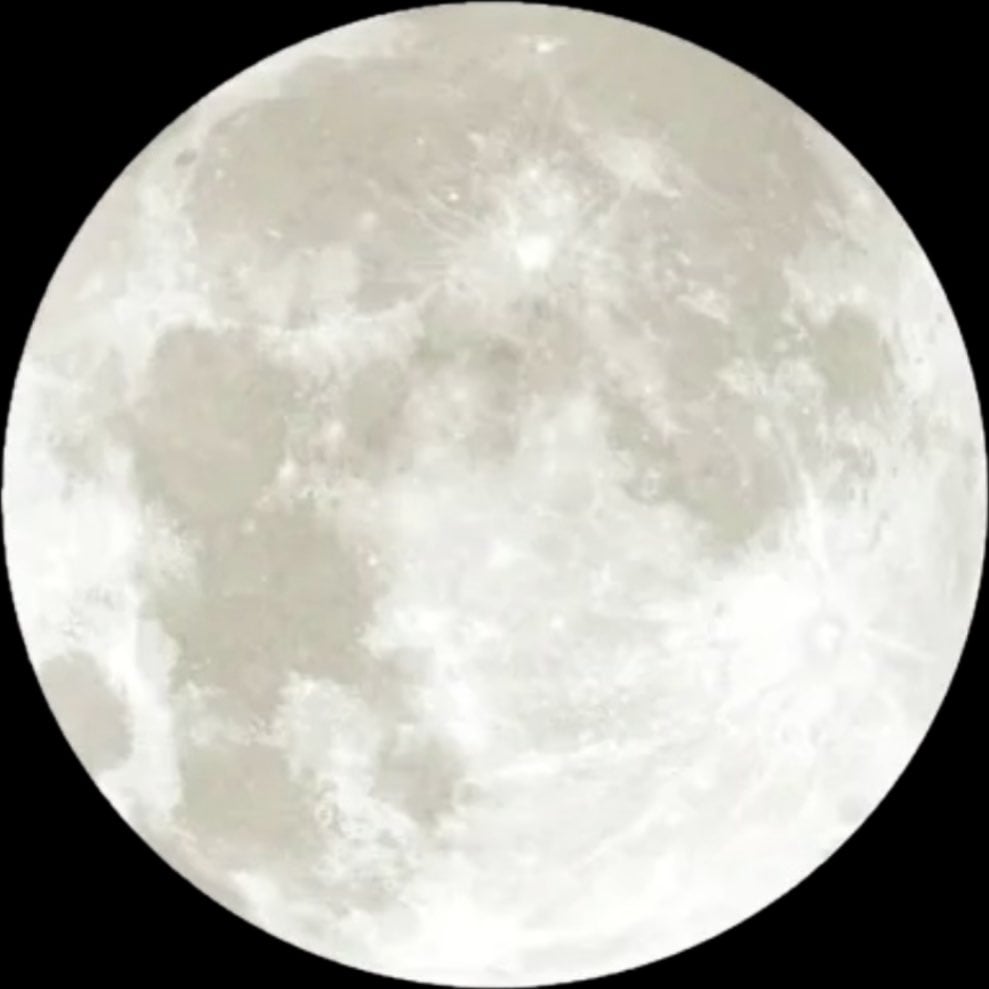 ابراهيم العنزي