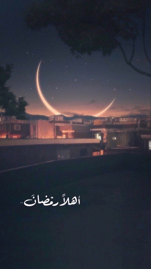 Nawaf Salem