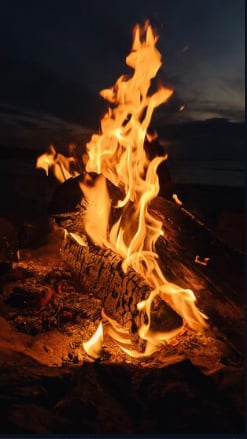 بتال المالكي