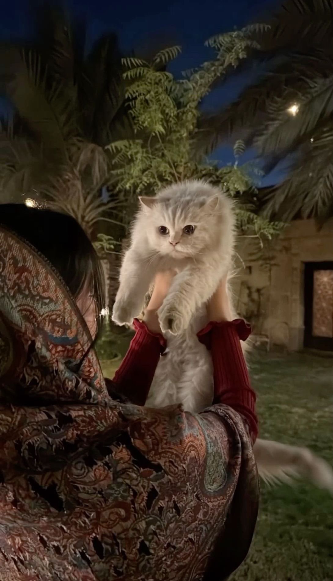 خولة الفيفي