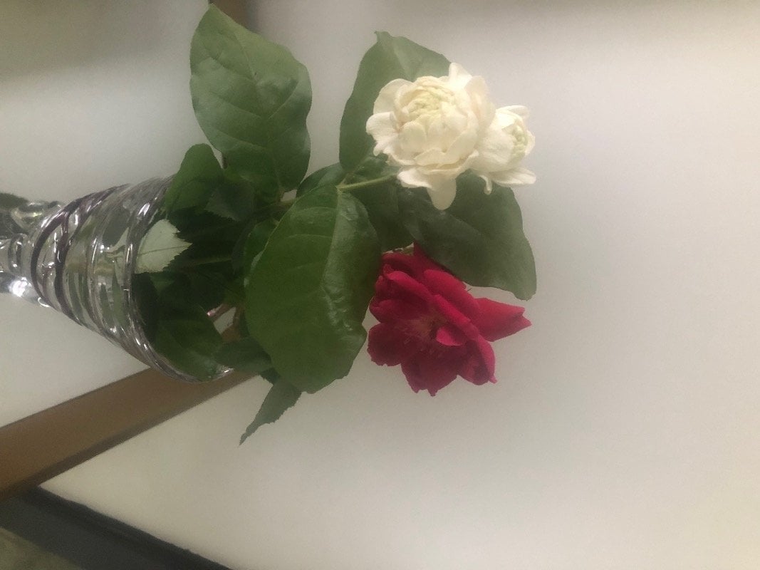 سارة الأسمري