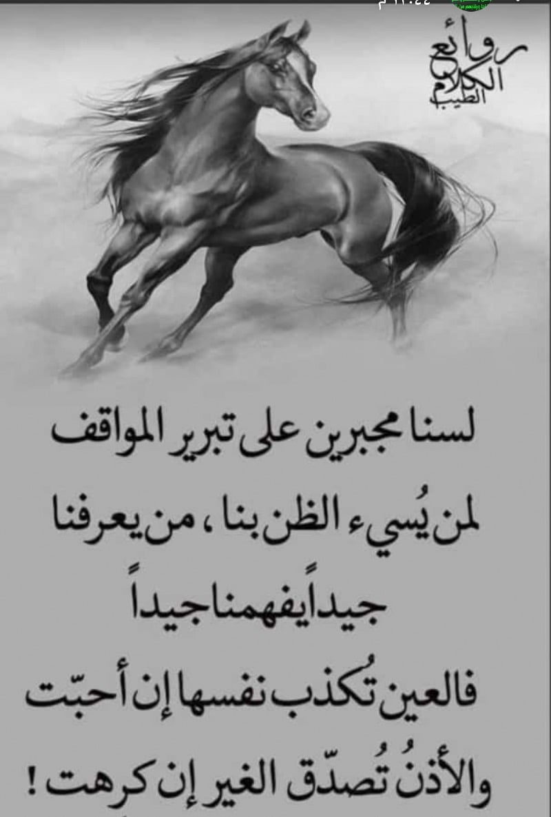 عبدالباري الفتني