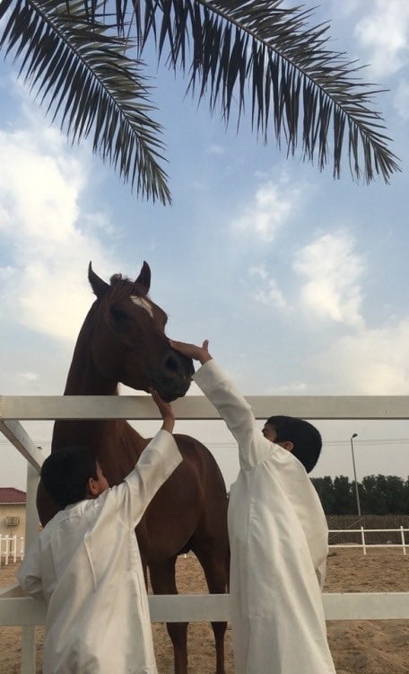 نورة العجمي