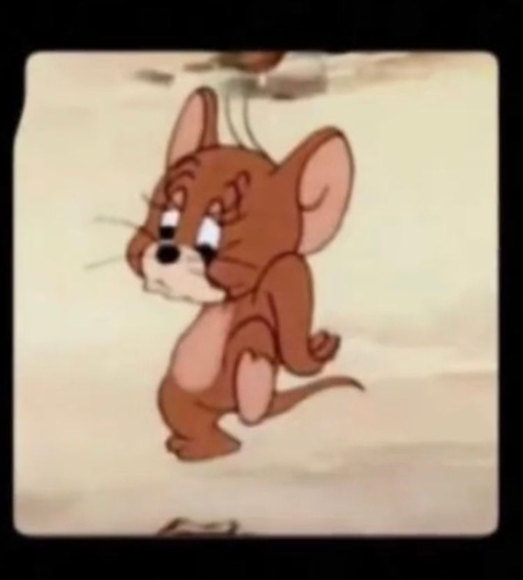 شما المسعود