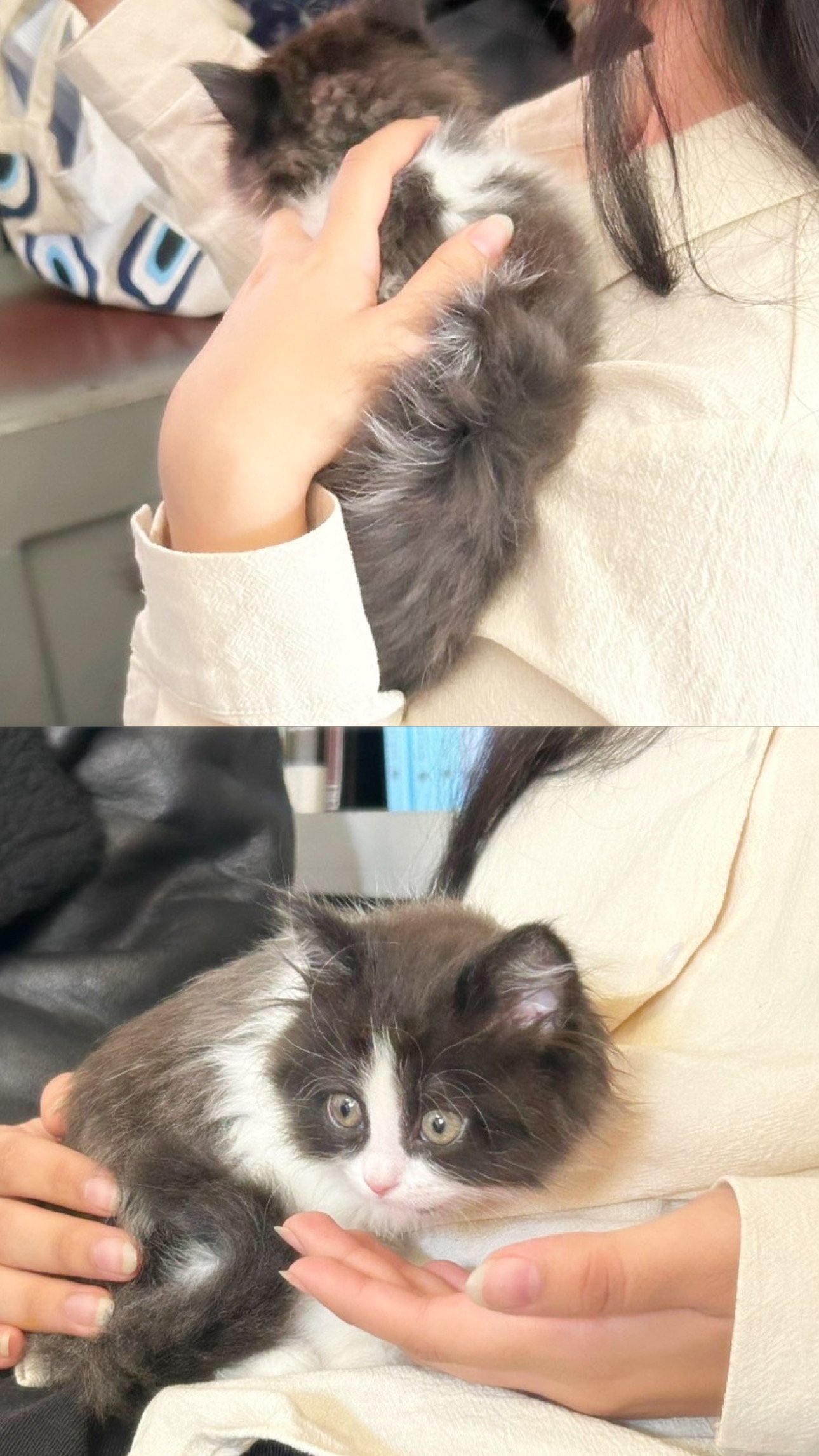 انفال القحطاني