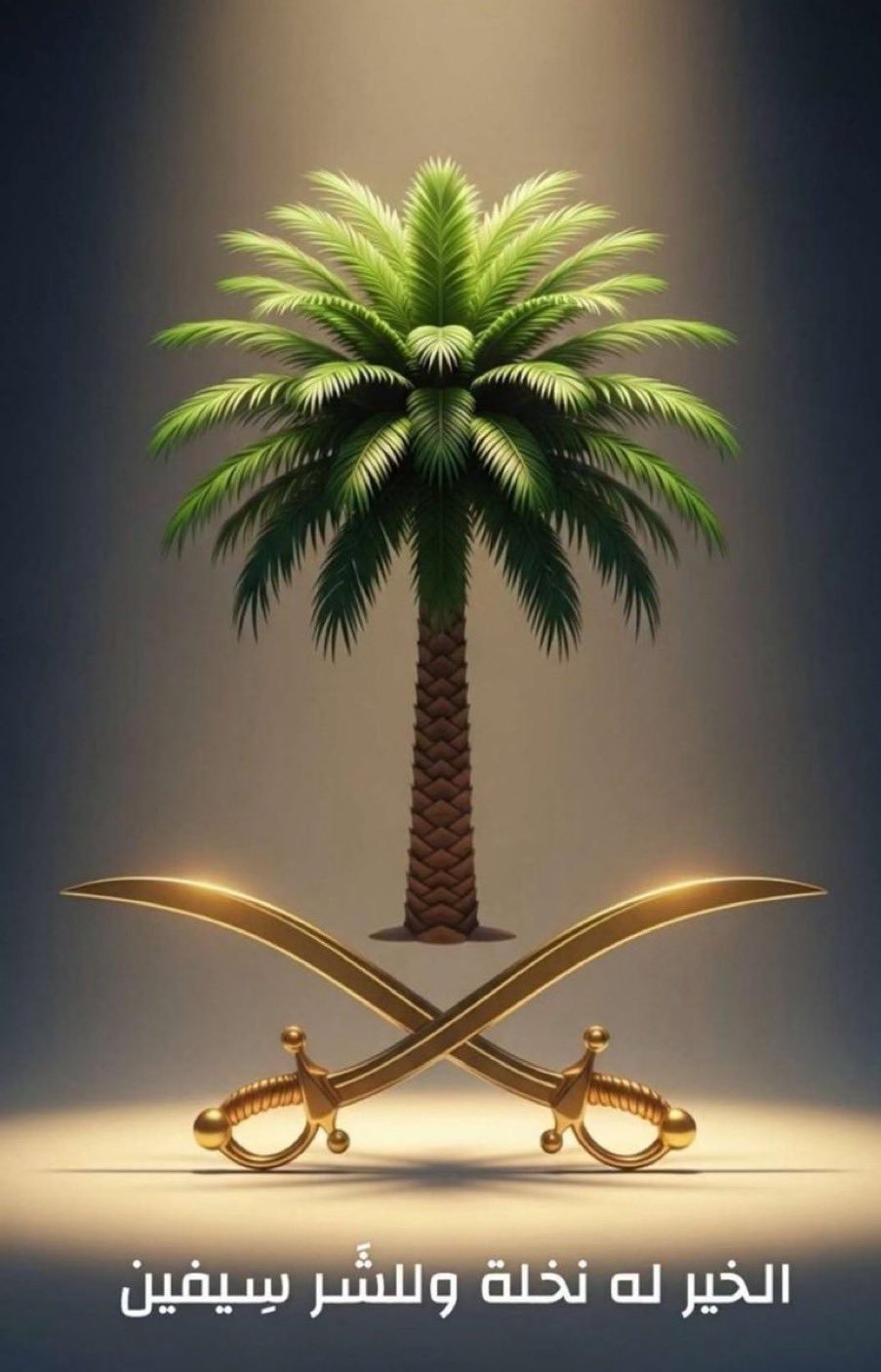 سلمان المالكي