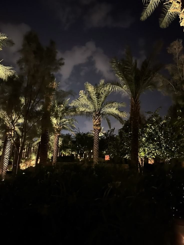 رشا ال