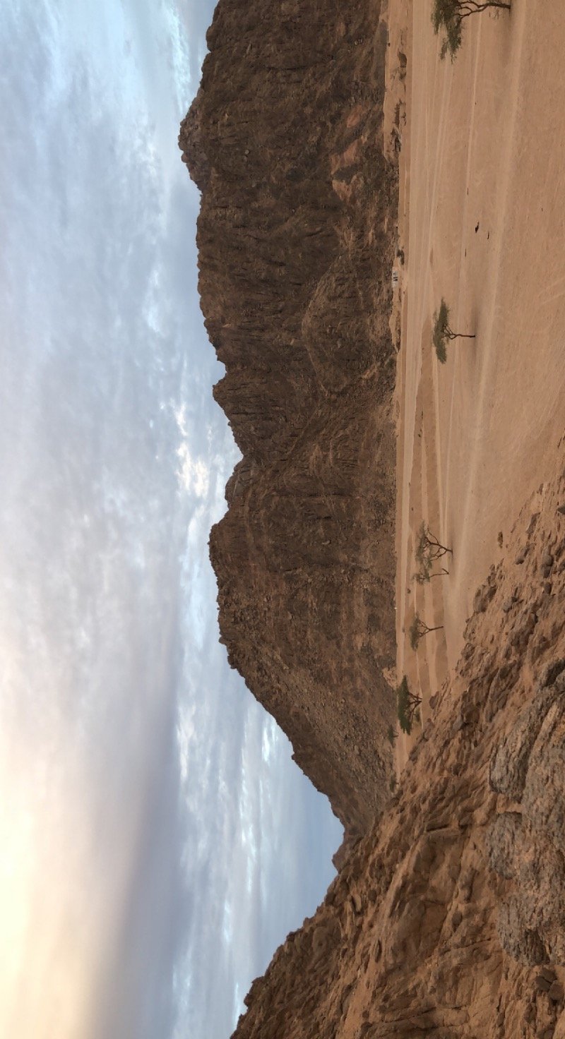 Majed Almarzouq