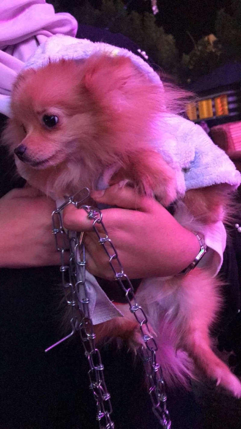 رقيه المصري