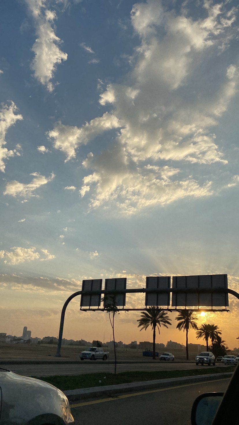 ريناس الشمراني