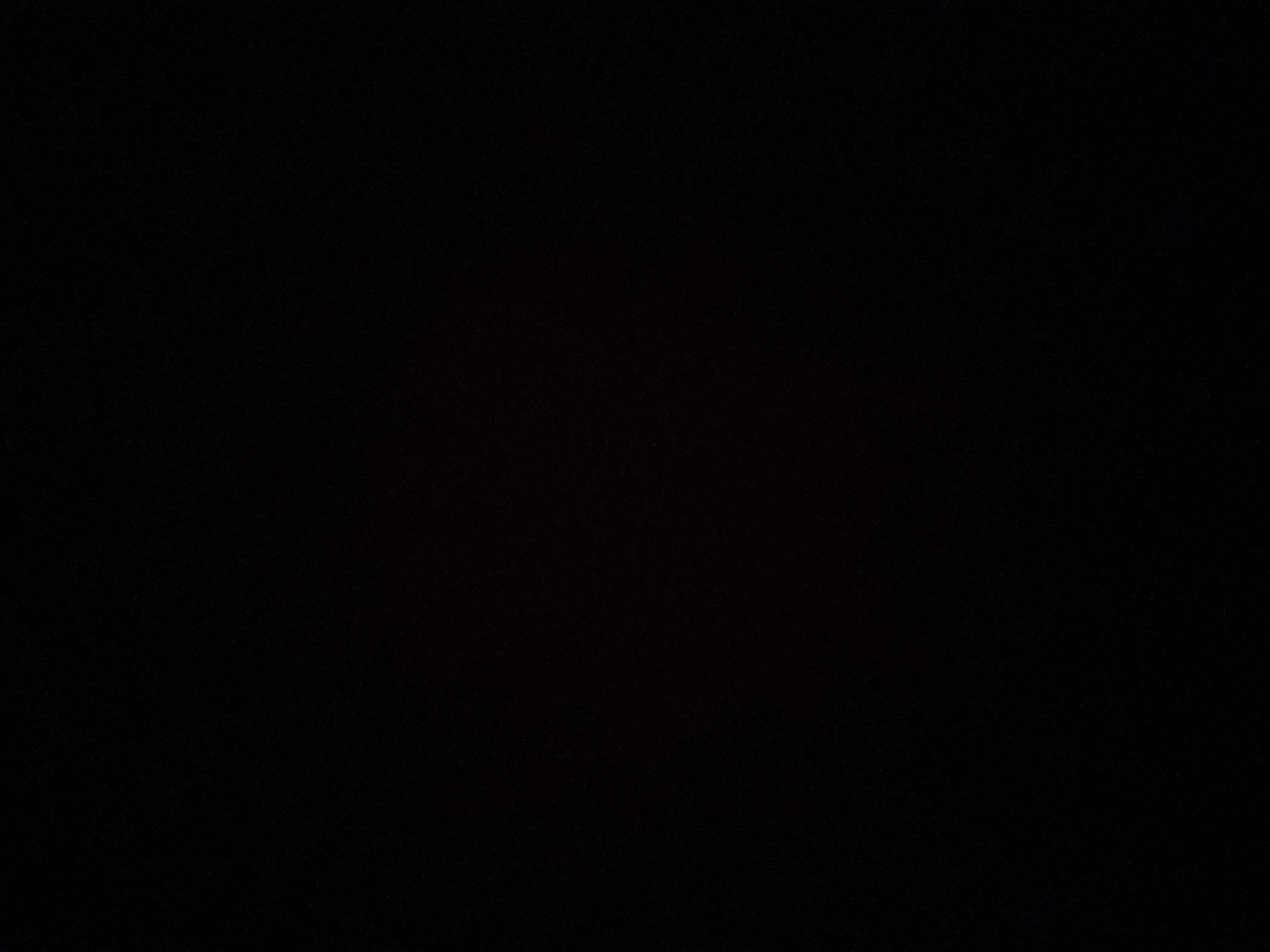 نورة الموسى