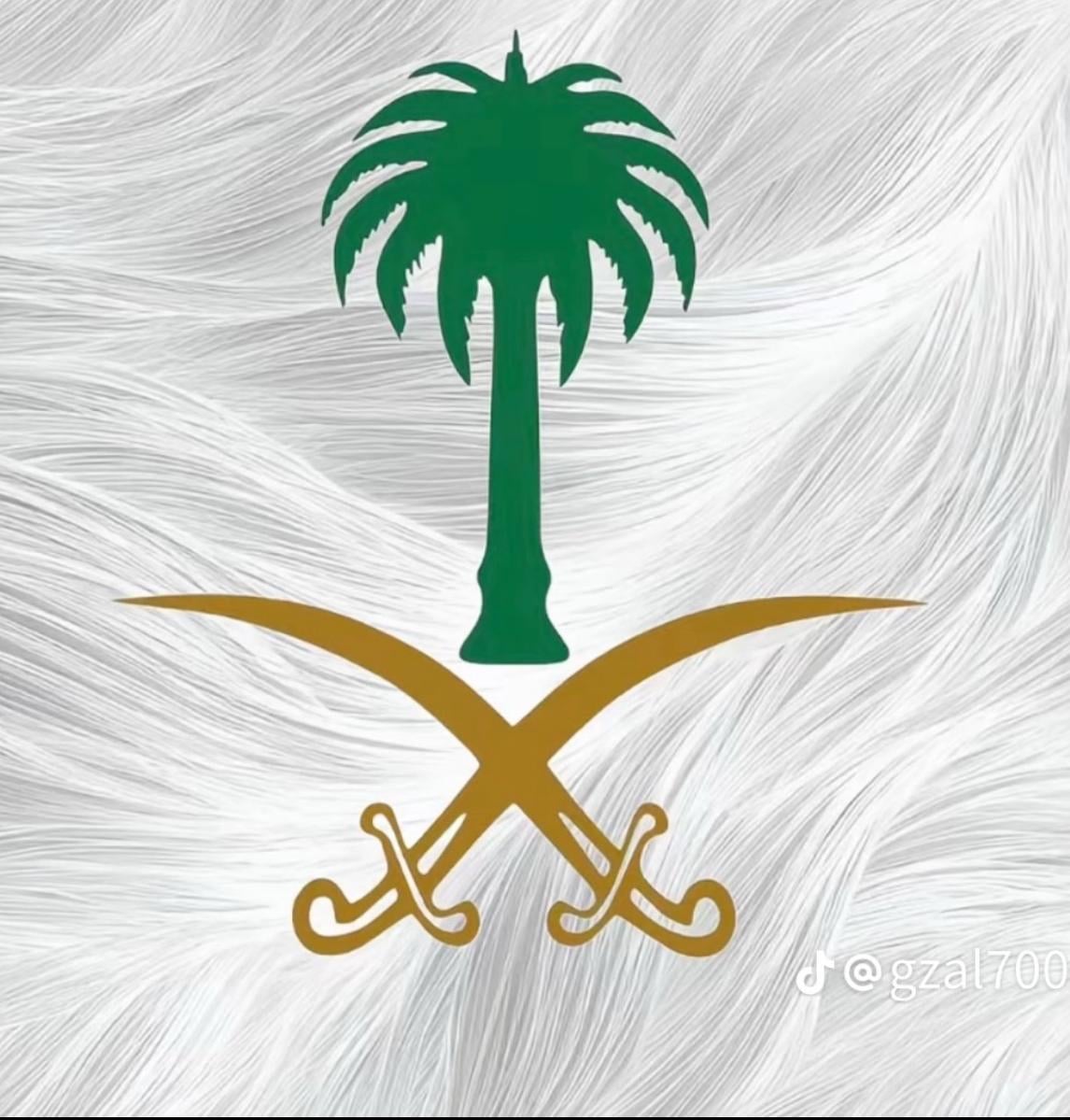 مصطفى الجدعاني