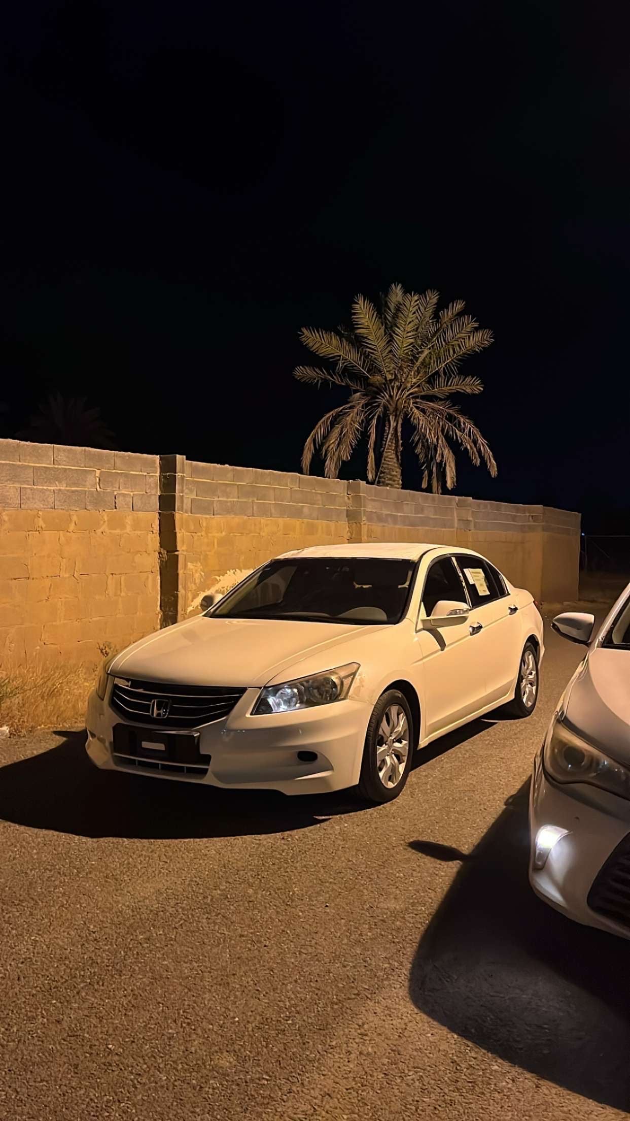 عماد بدر