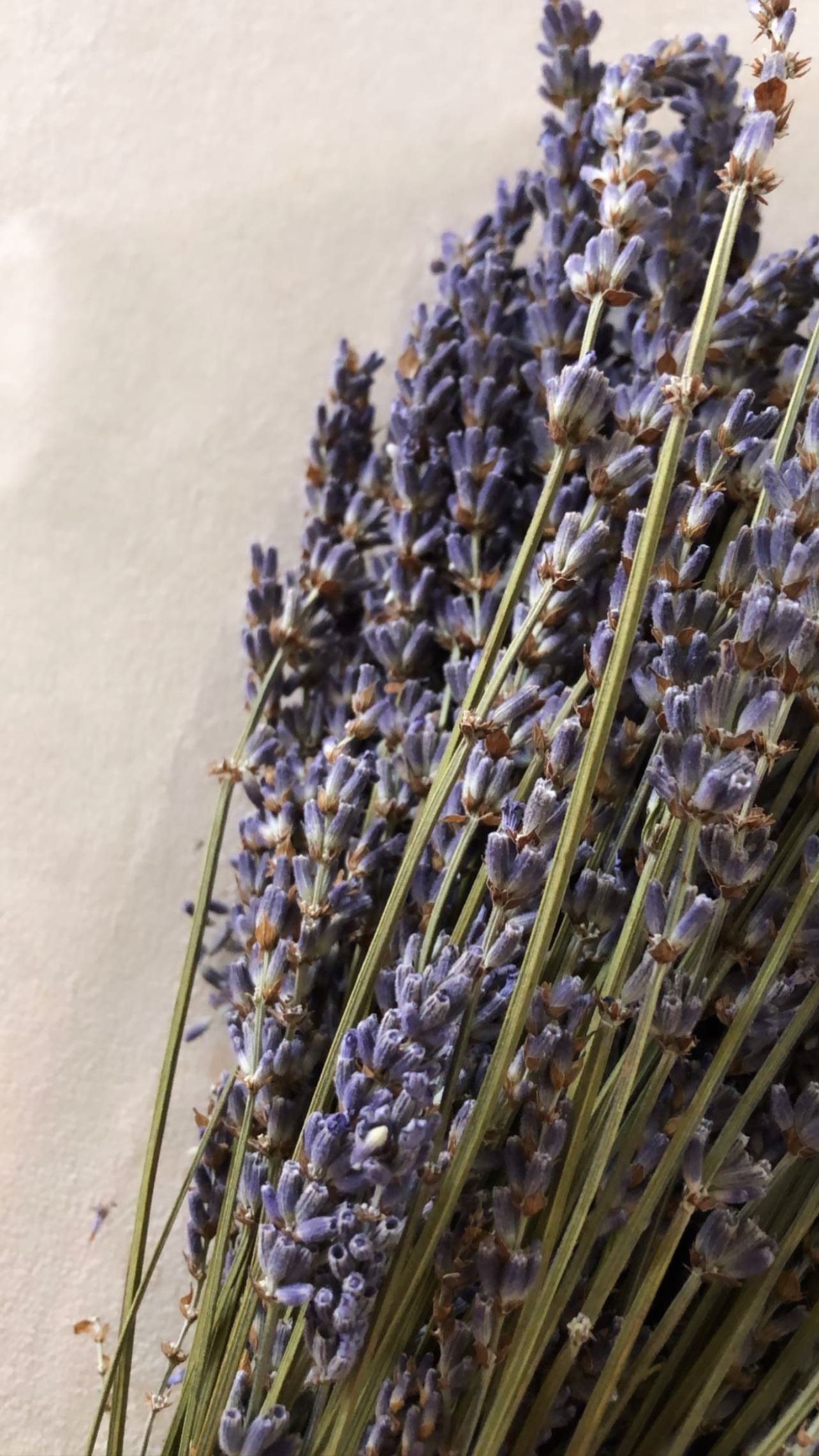 منى الزهراني