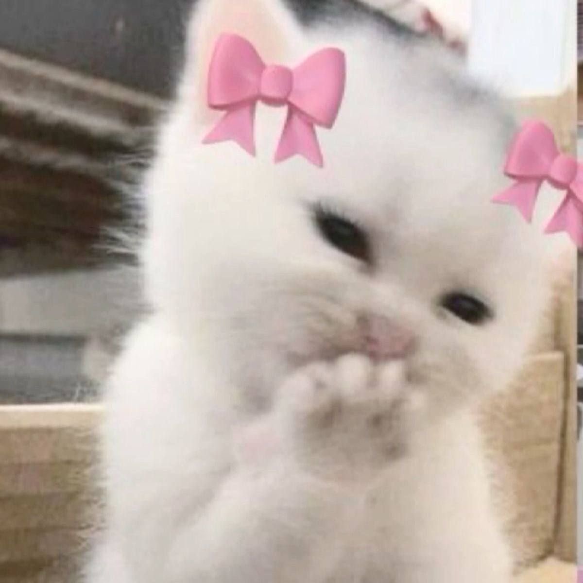 روان الحربي