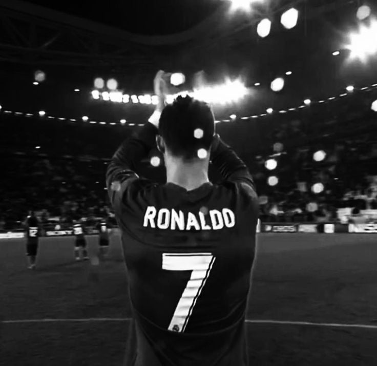 انس الغامدي