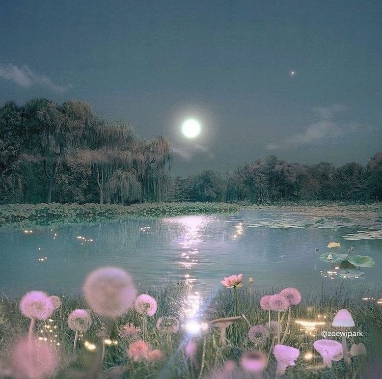 فردوس الشهري