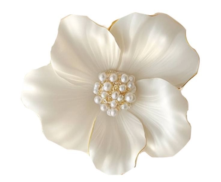 شادن العتيبي