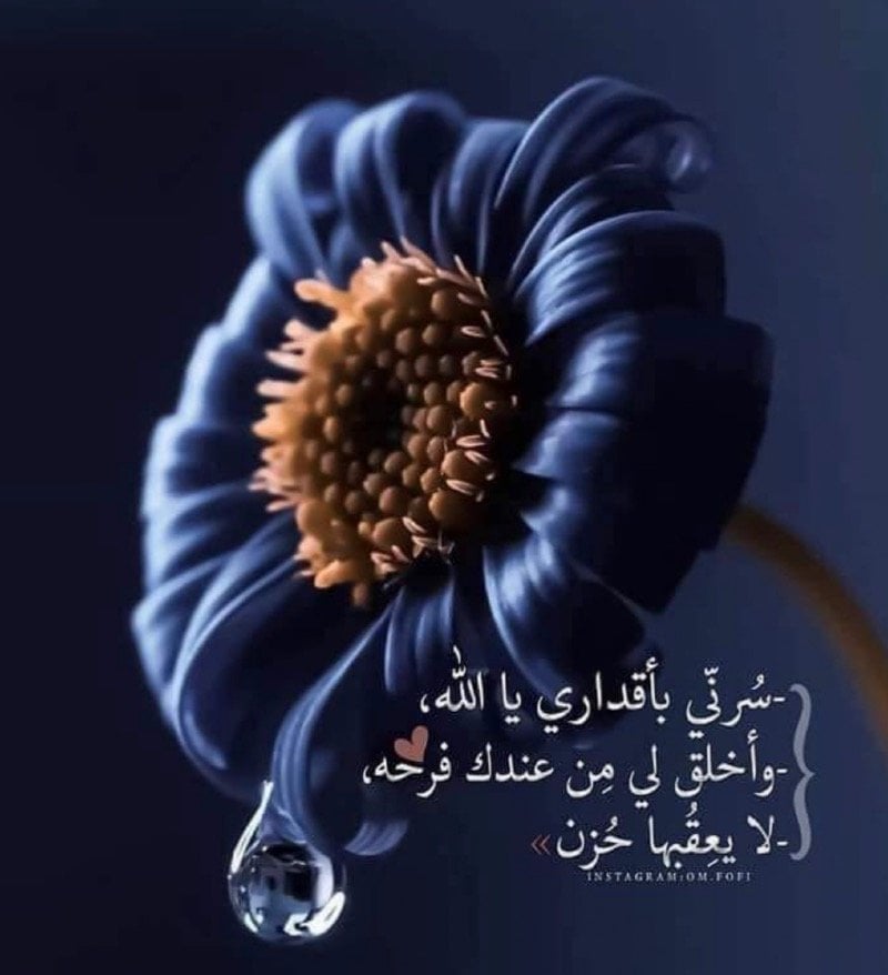 أميره عبدالرحمن