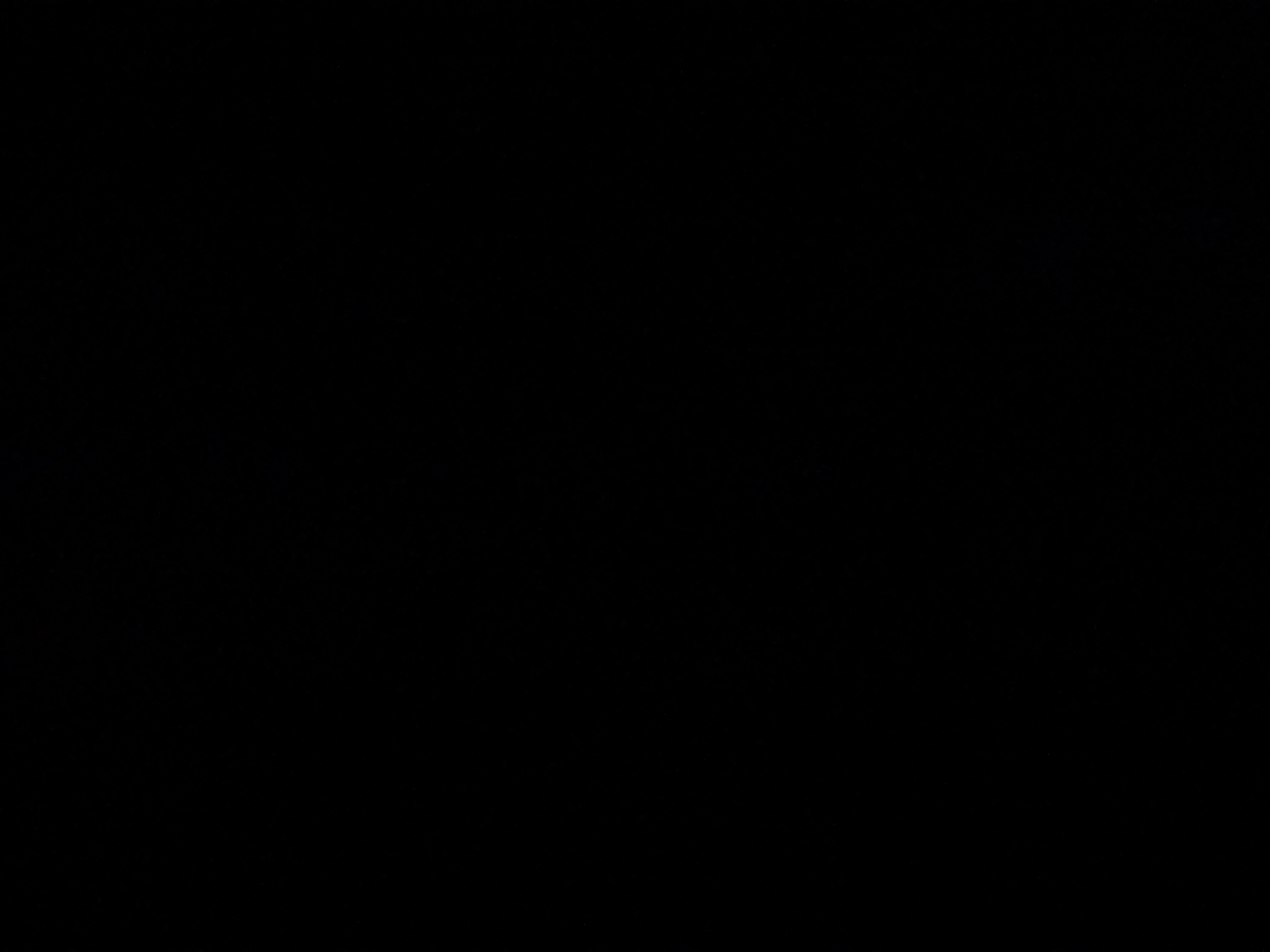 عبدالله المطلق