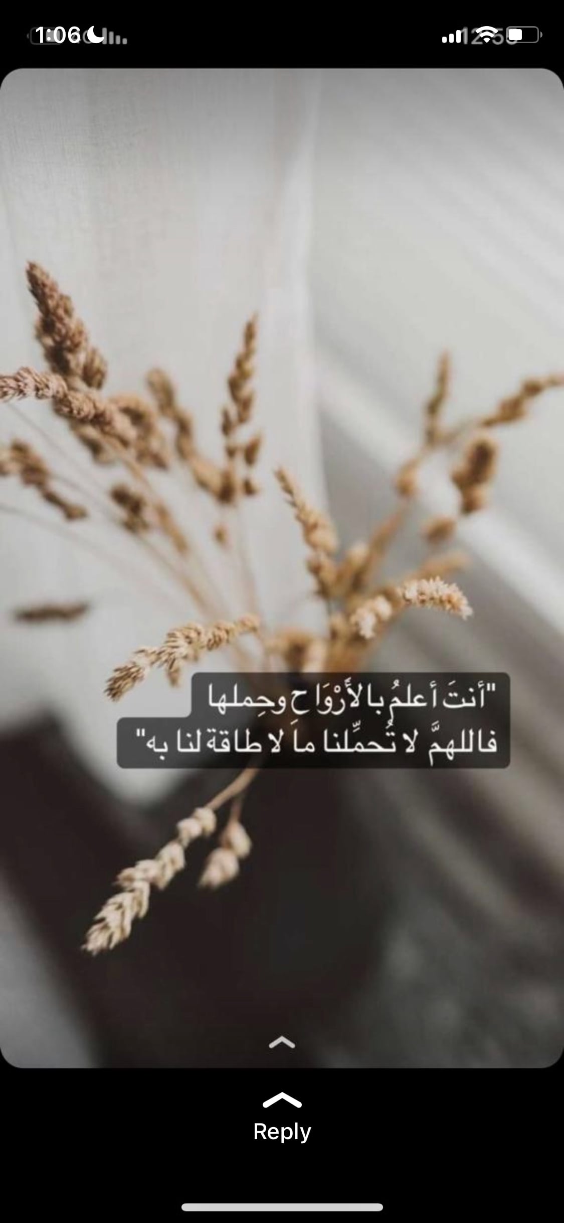 وجدان العتيبي