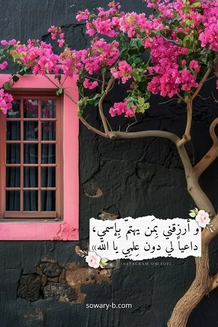 ساره ال عبدالعزيز