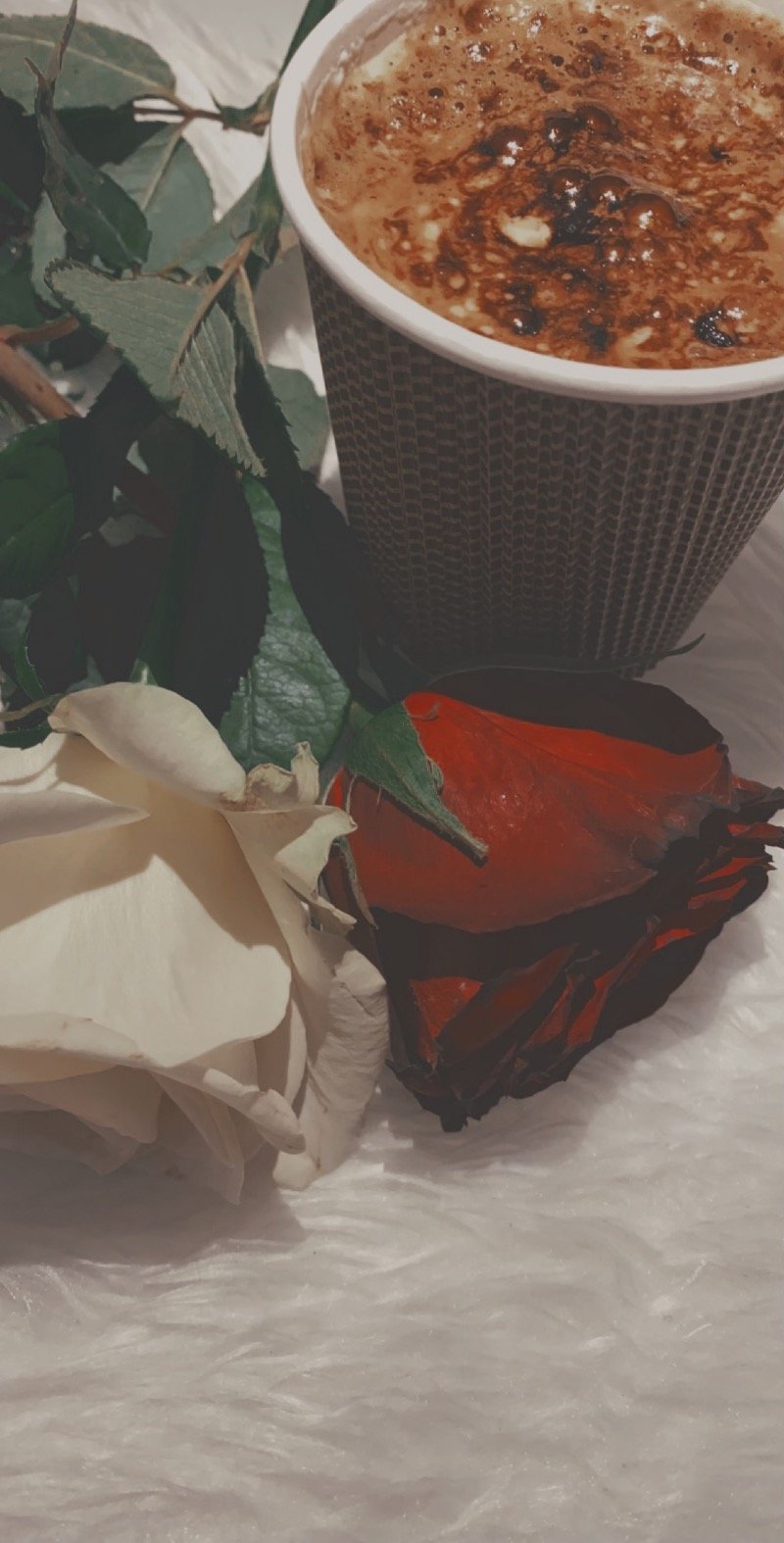 ريم المطيري