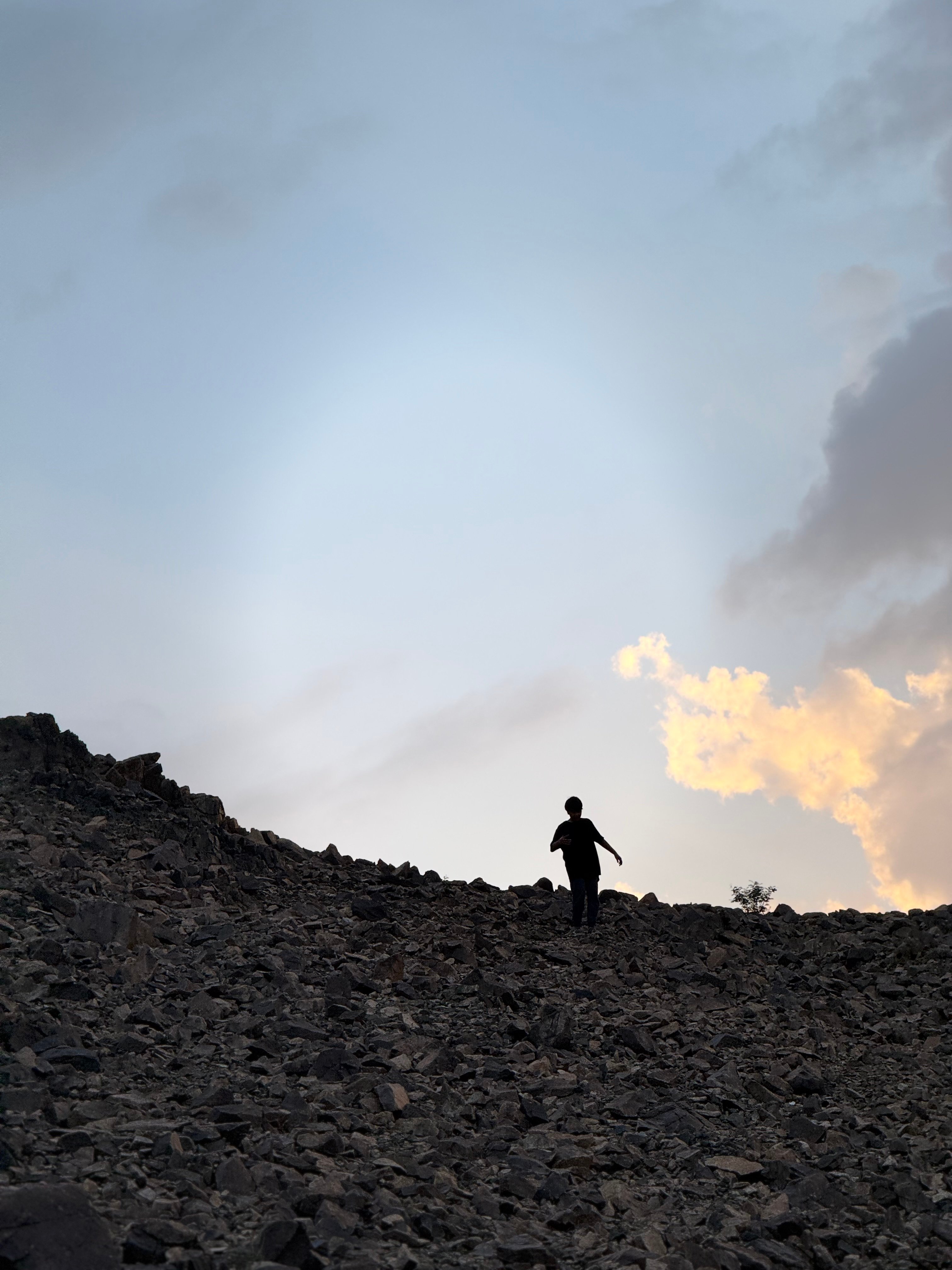 زينب الحربي