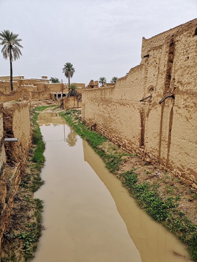 مشاري السعيدان