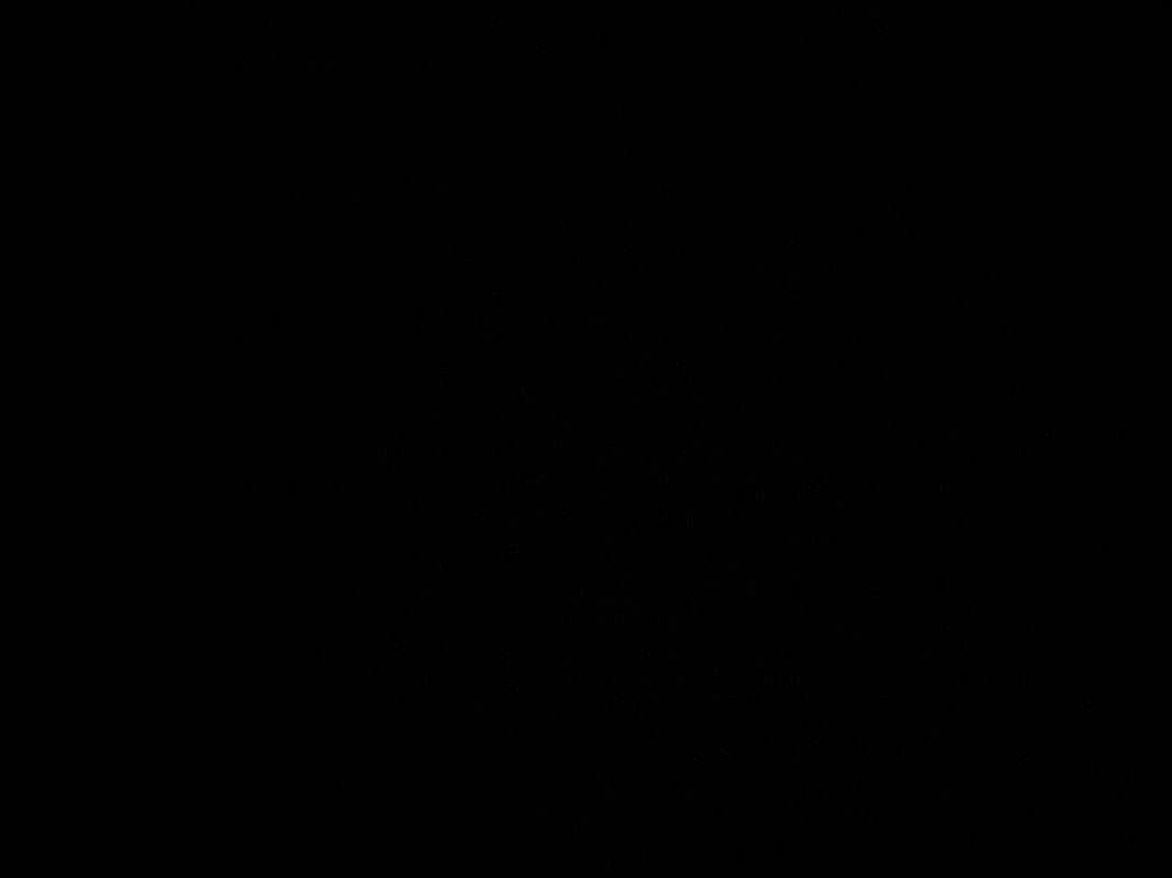 وئام الدعجاني
