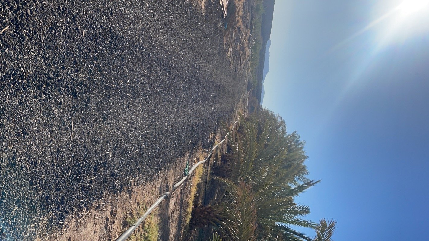 فيصل الرويثي