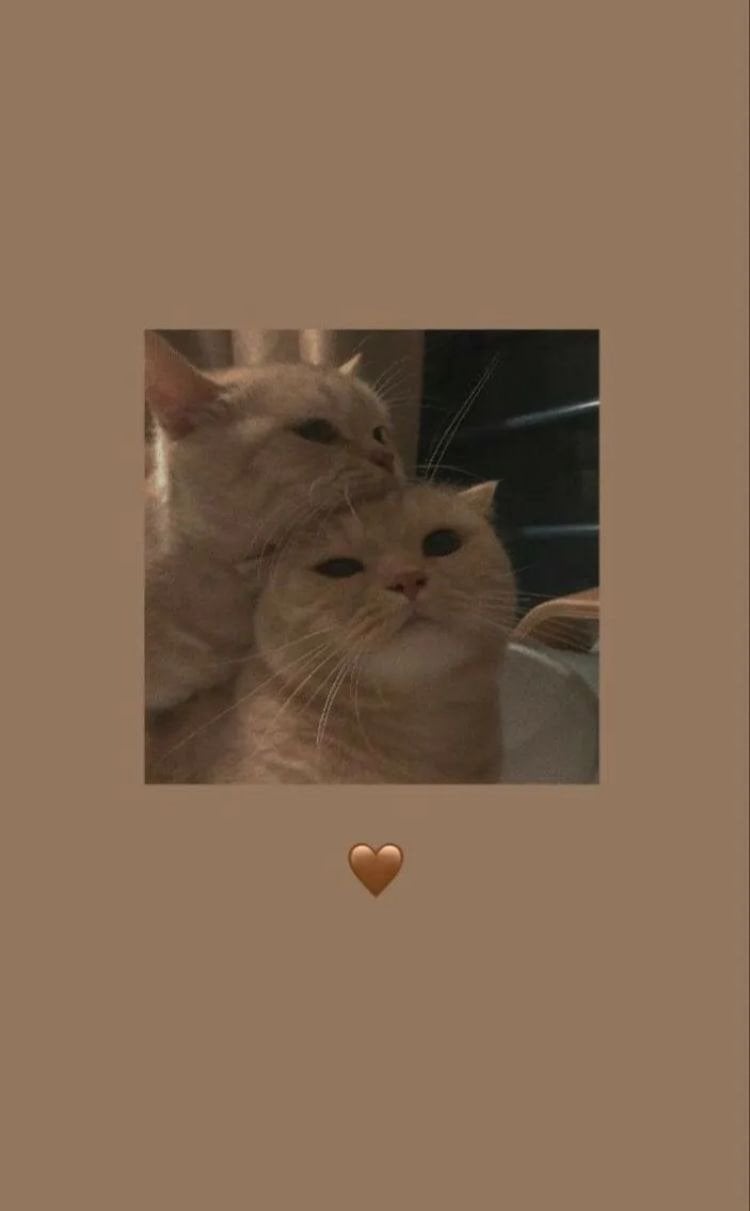 a s