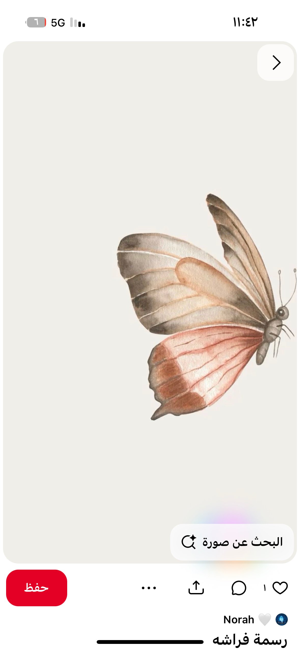 نوره المطيري