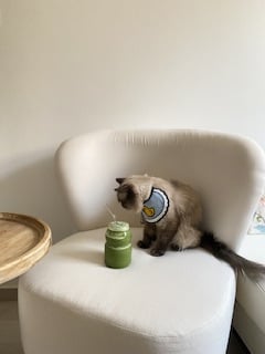 هياء الدوسري