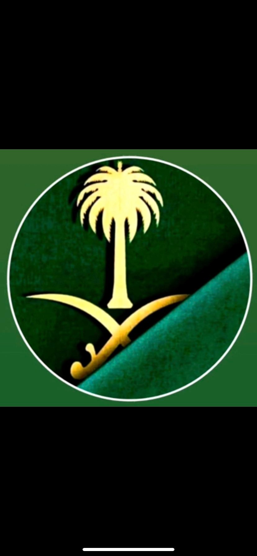 ابوسامي السبيعي