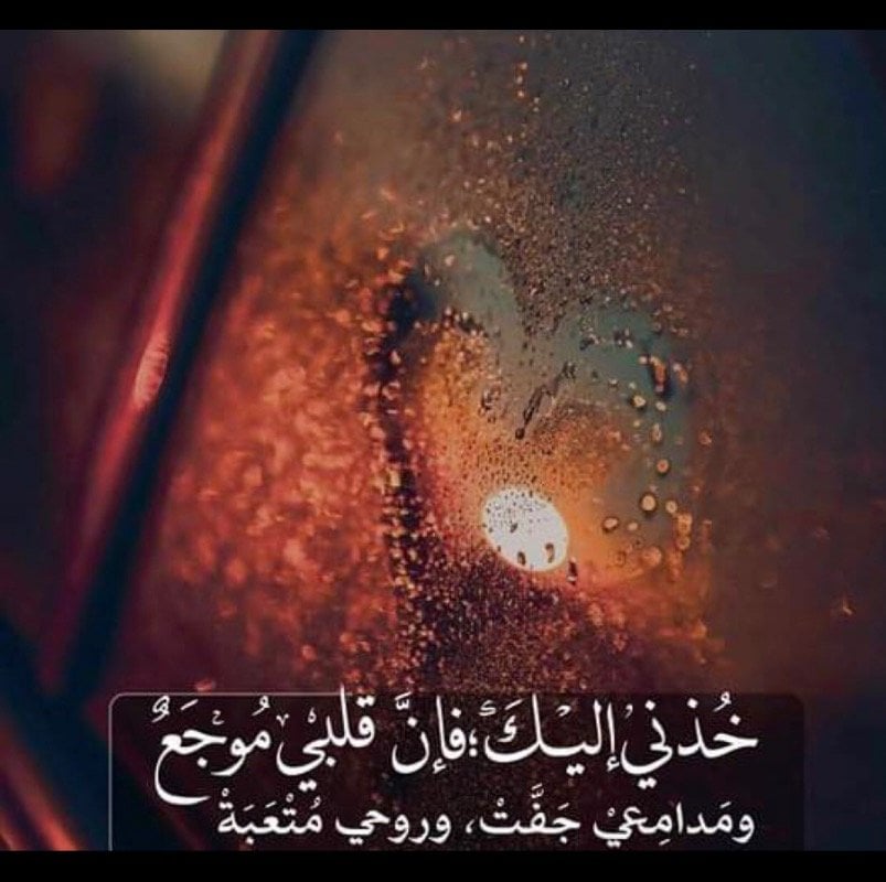 عبدالقادر سلطان