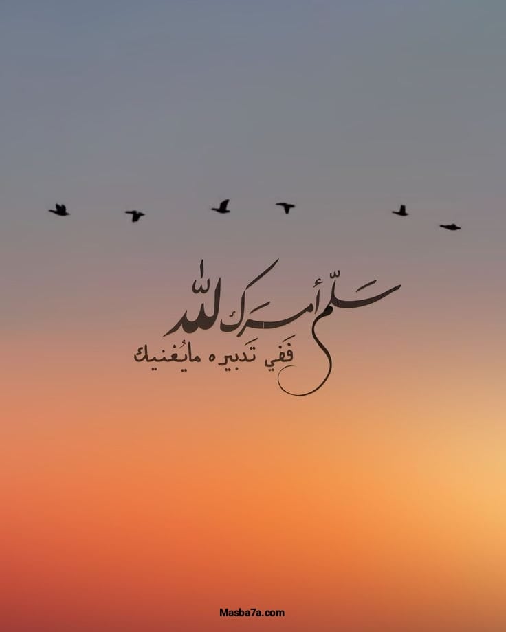 رابح السلمي