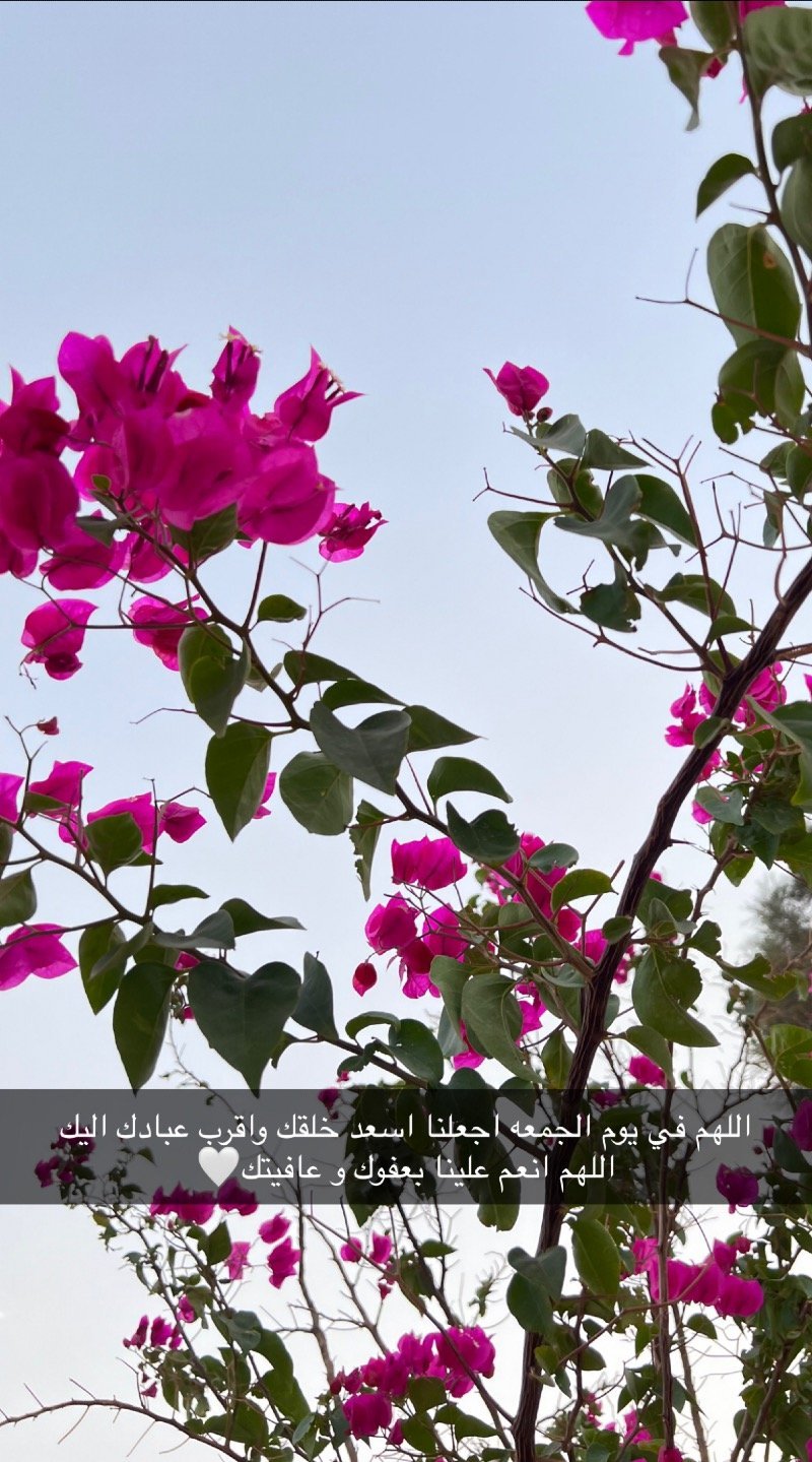 Asmaa Abdullah