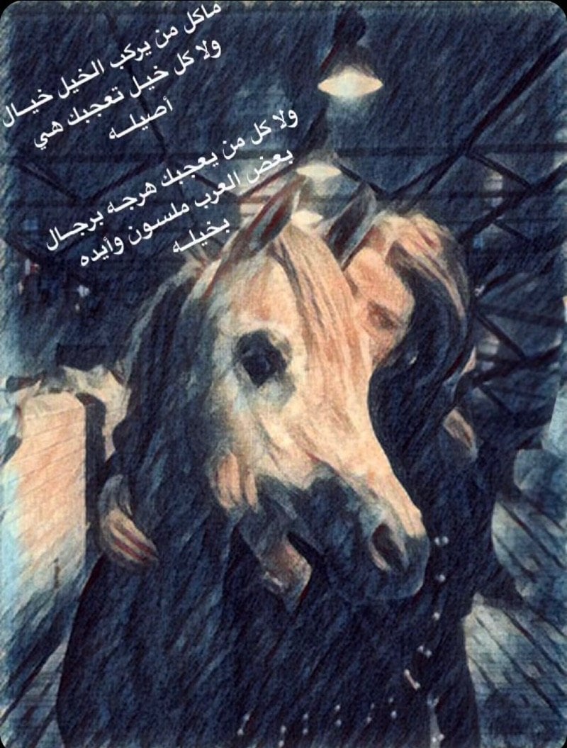 عائشة 