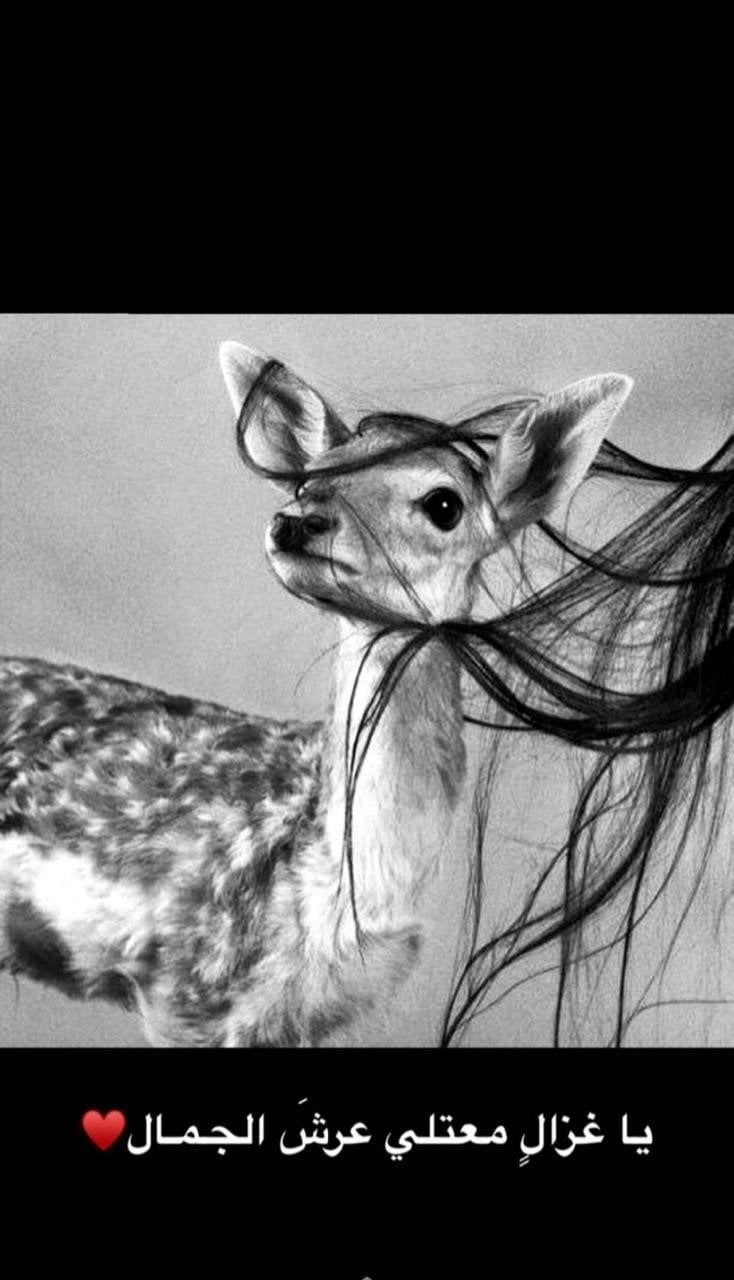 نوره الناصر