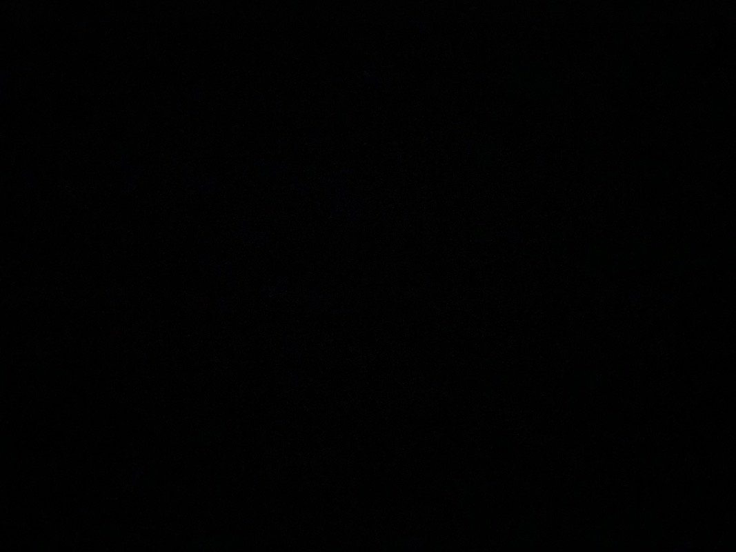 محمد المدير