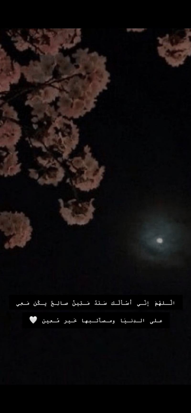 مرام المالكي