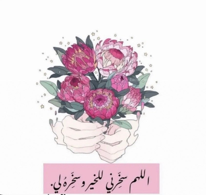 مريم الهلال