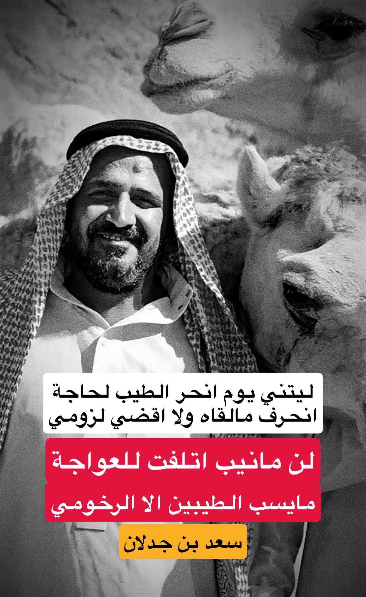 محمد الشهراني