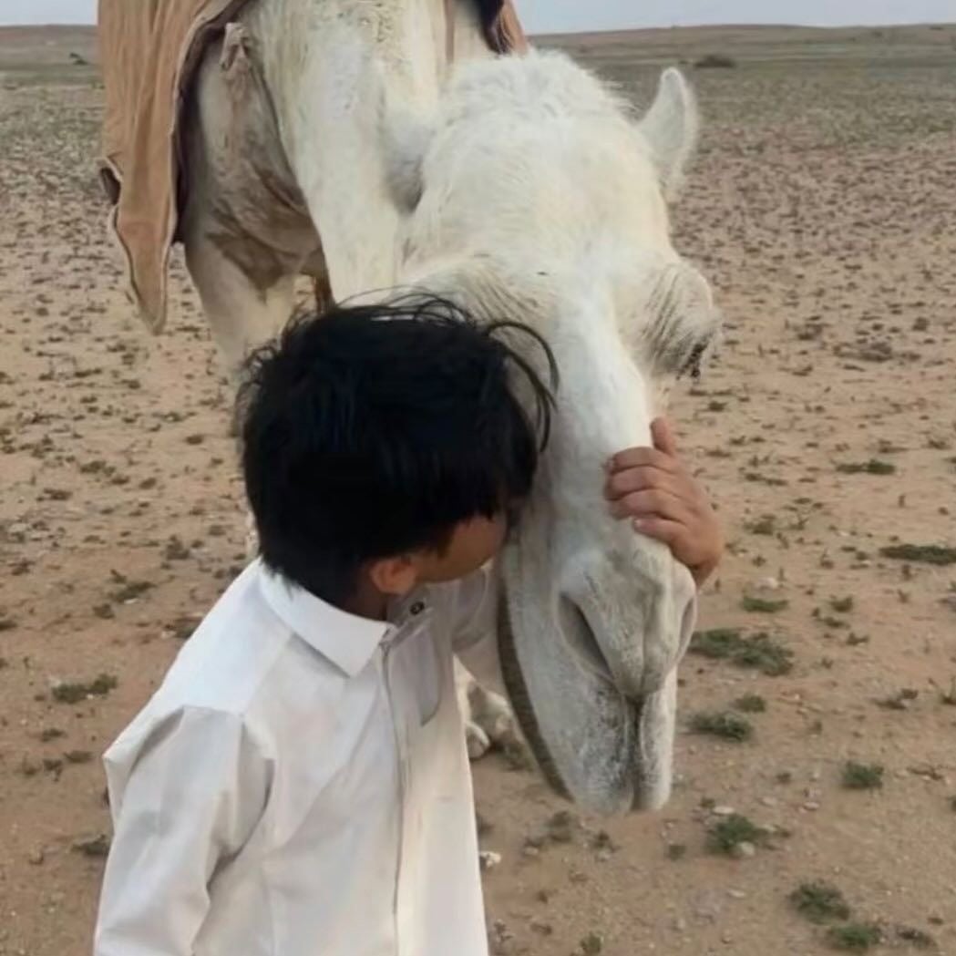 عبدالله القحطاني