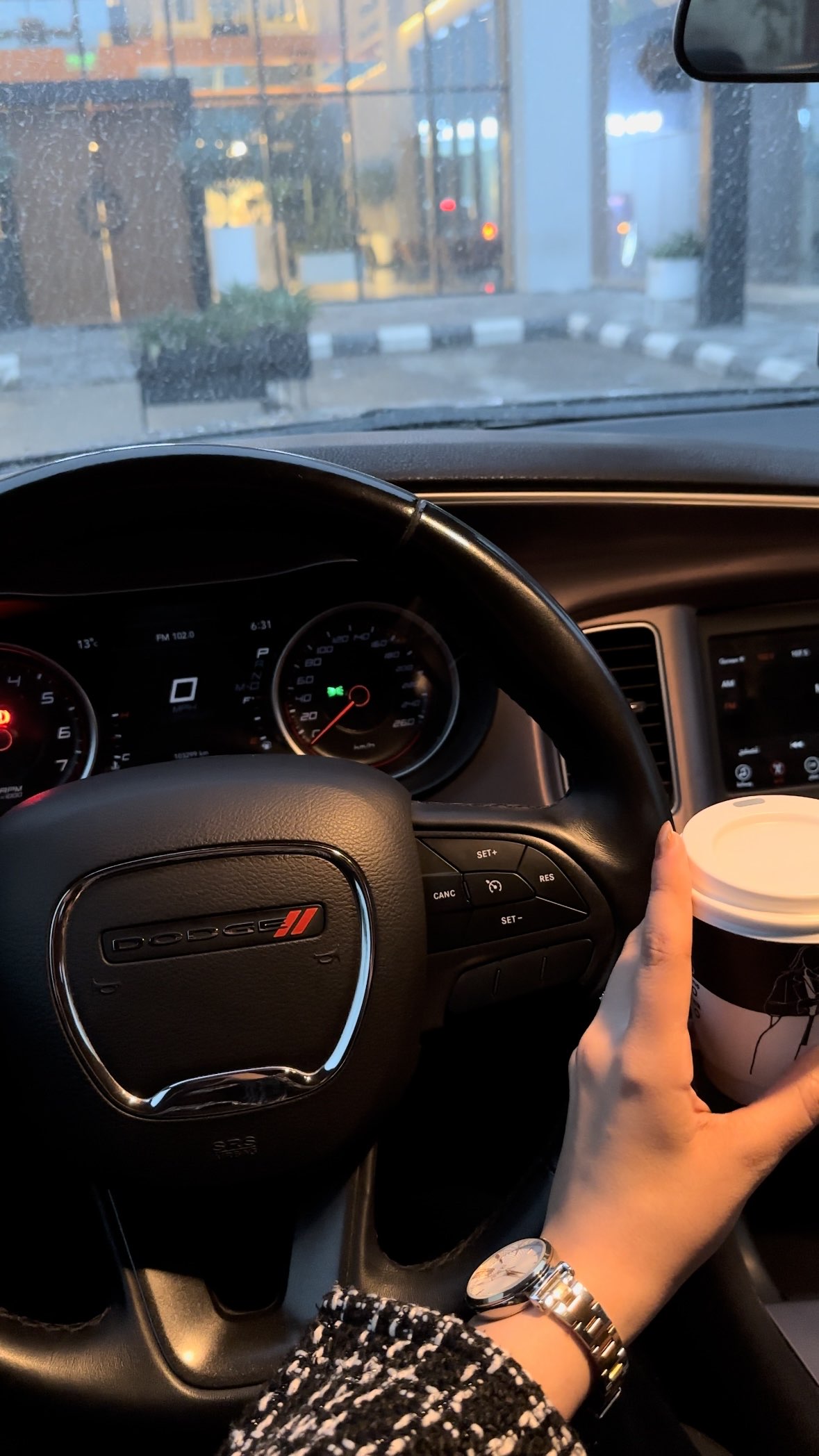 نجلاء الرشيدي