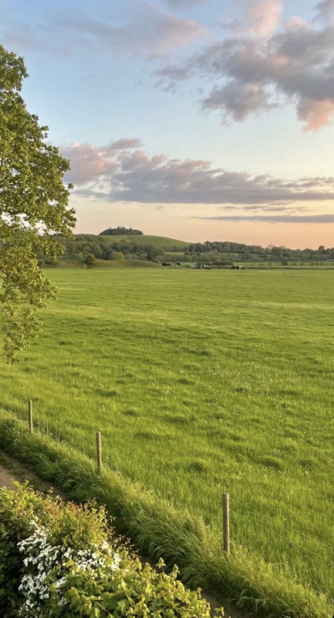 ساره الدوسرى