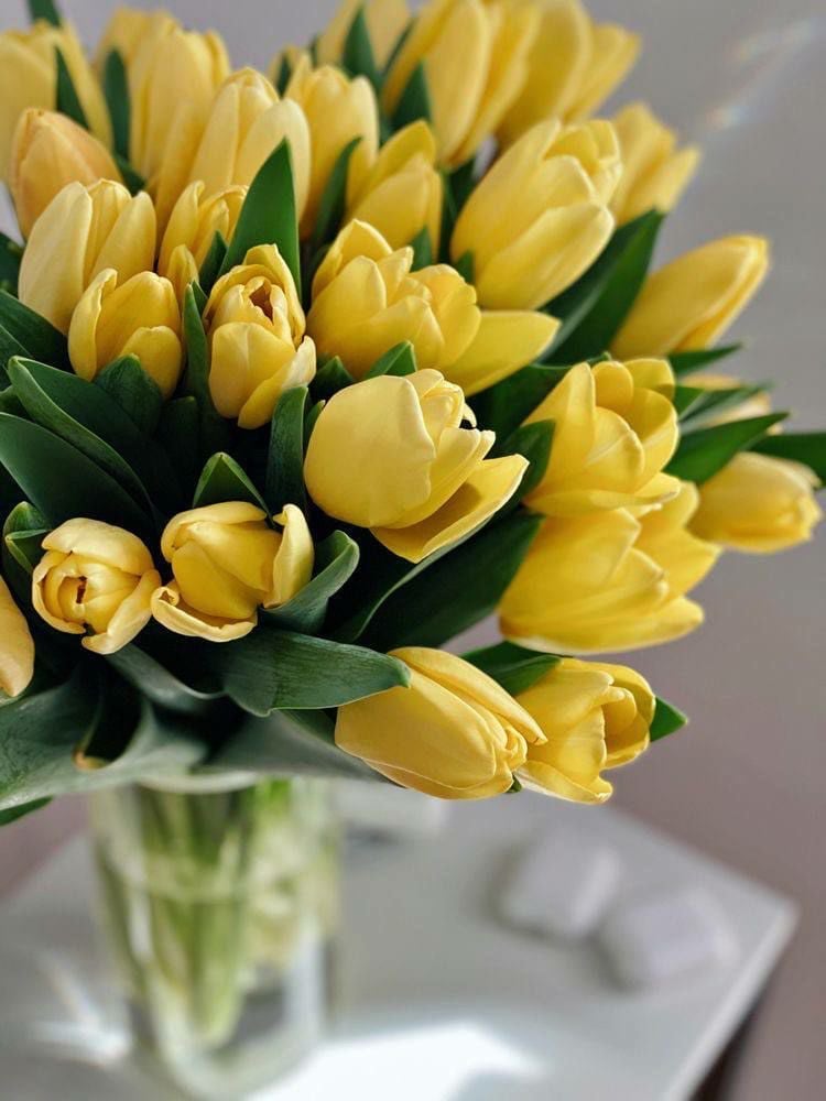 الهنوف العريفي